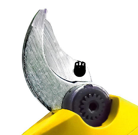 SK5 Blade.png